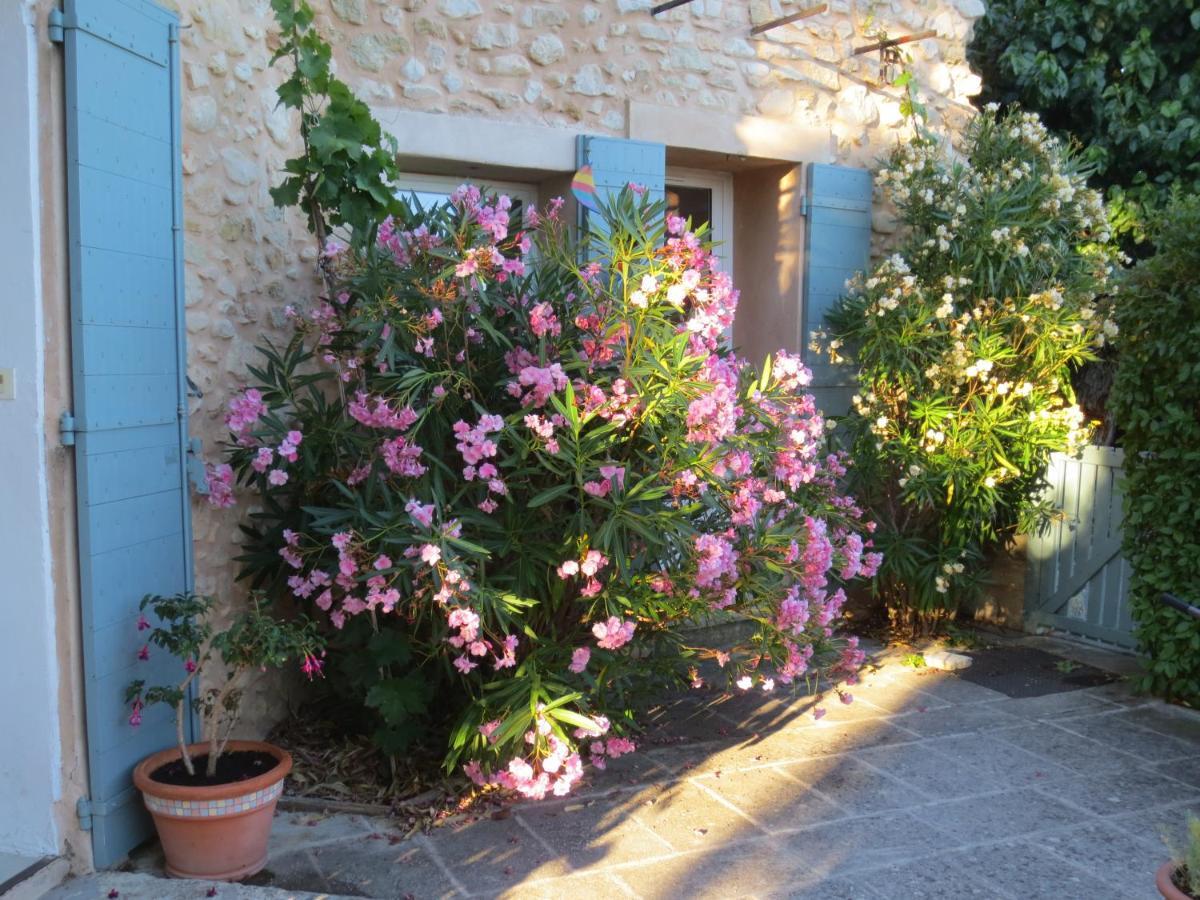 Oustau Du Ventoux Bed and Breakfast Bédoin Eksteriør billede